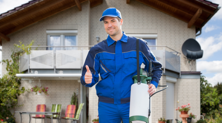 Bed Bug Elimination